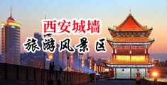扣美女骚逼网站中国陕西-西安城墙旅游风景区